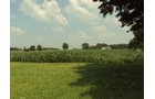 Property photo 35 - 160 Acres Offered in 6 Tracts